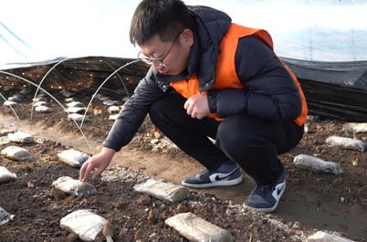 又是一年“寻年俗 品浙味” 平安产险浙江分公司“云端助农集市”正式开场